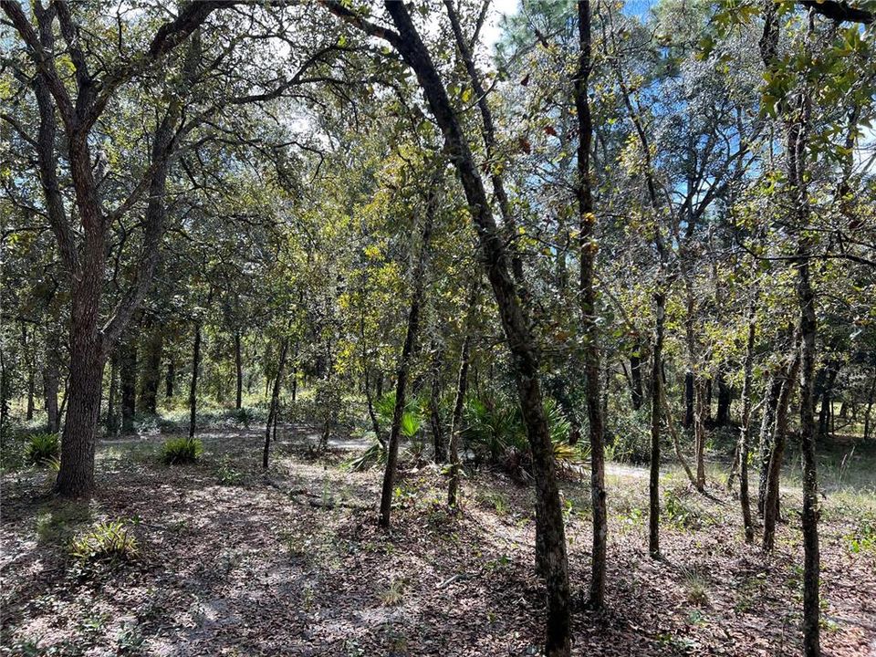 For Sale: $359,000 (3 beds, 2 baths, 1984 Square Feet)