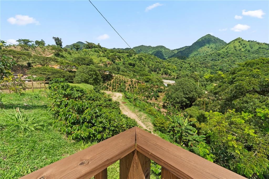 For Sale: $4,495,000 (4 beds, 2 baths, 4067 Square Feet)