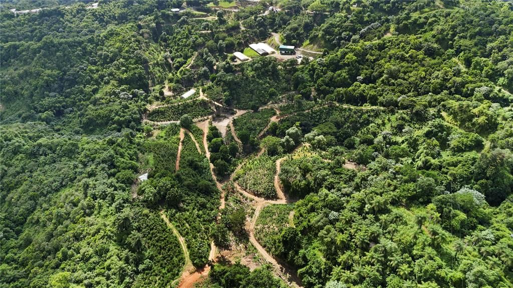 For Sale: $4,495,000 (4 beds, 2 baths, 4067 Square Feet)