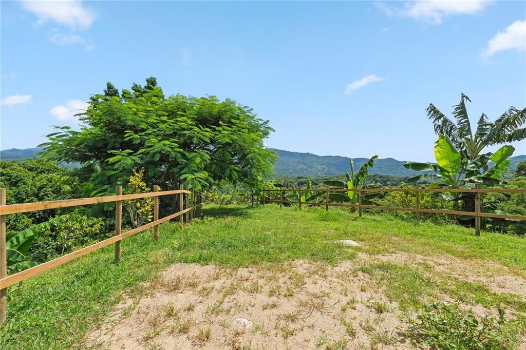 For Sale: $4,495,000 (4 beds, 2 baths, 4067 Square Feet)