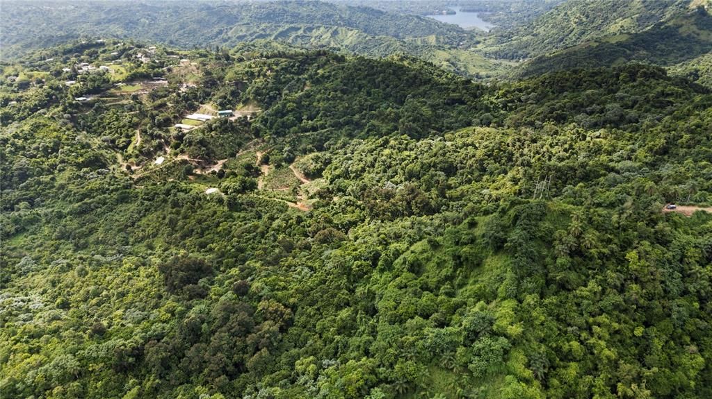 For Sale: $4,495,000 (4 beds, 2 baths, 4067 Square Feet)