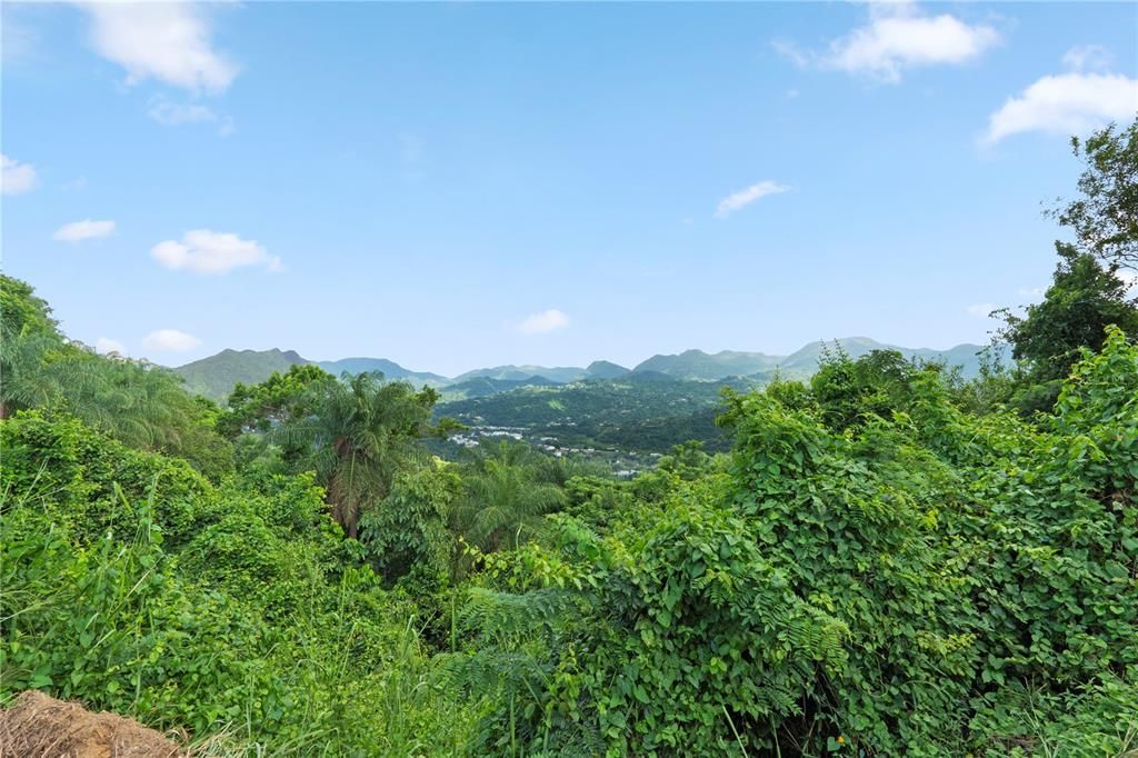 For Sale: $4,495,000 (4 beds, 2 baths, 4067 Square Feet)