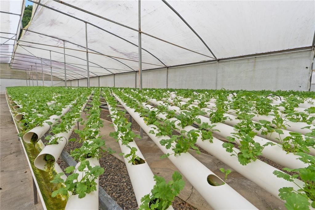 For Sale: $4,495,000 (4 beds, 2 baths, 4067 Square Feet)