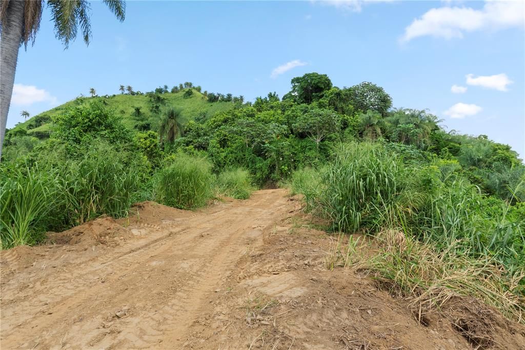 For Sale: $4,495,000 (4 beds, 2 baths, 4067 Square Feet)