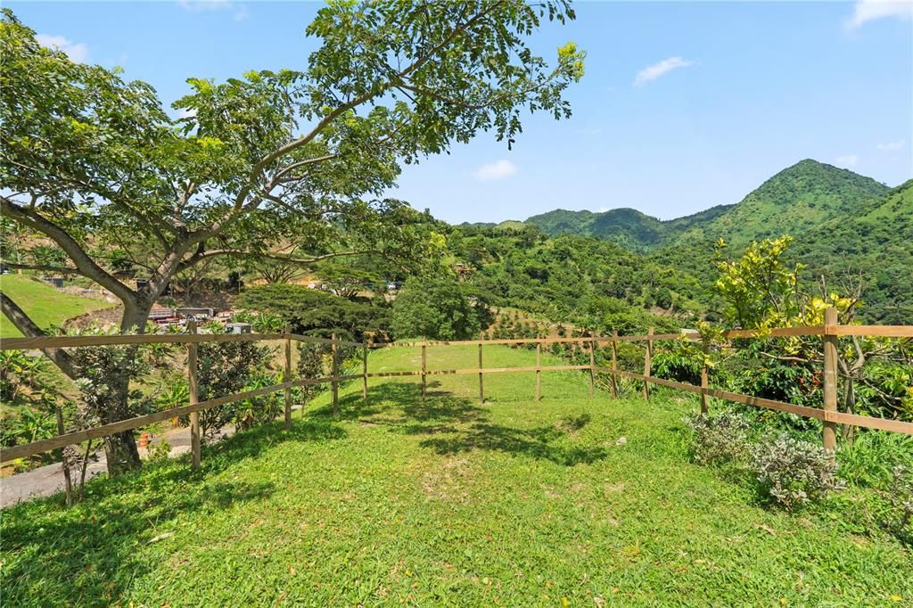 For Sale: $4,495,000 (4 beds, 2 baths, 4067 Square Feet)