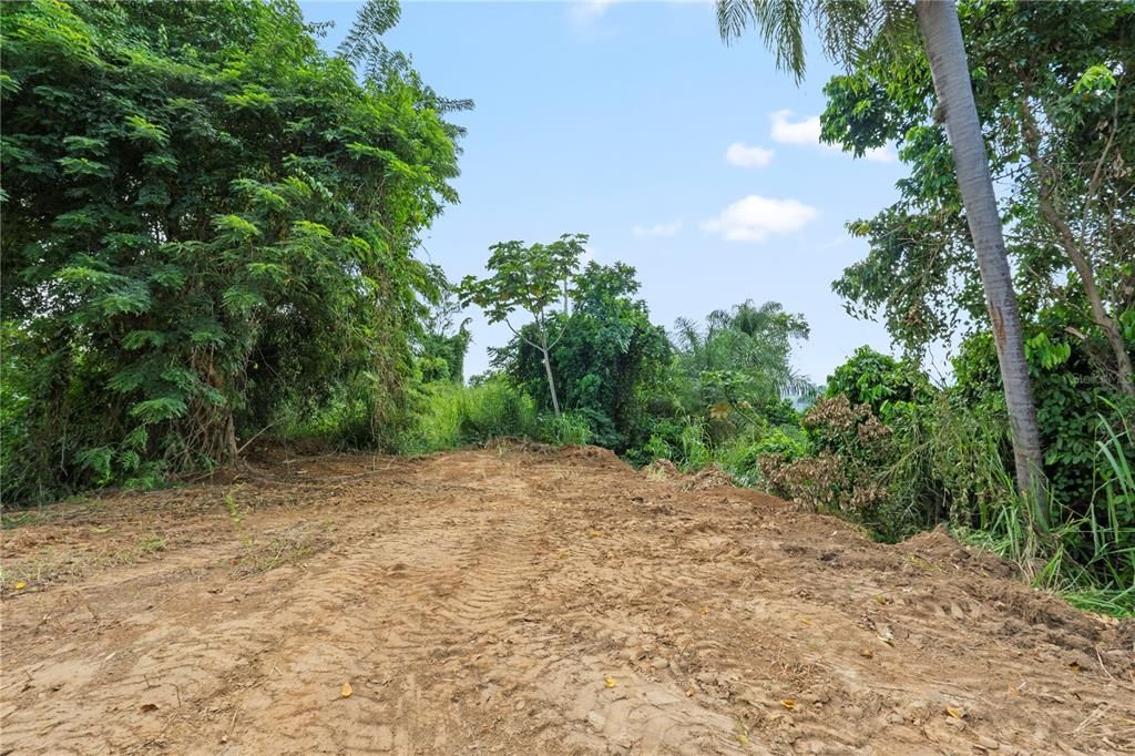 For Sale: $4,495,000 (4 beds, 2 baths, 4067 Square Feet)