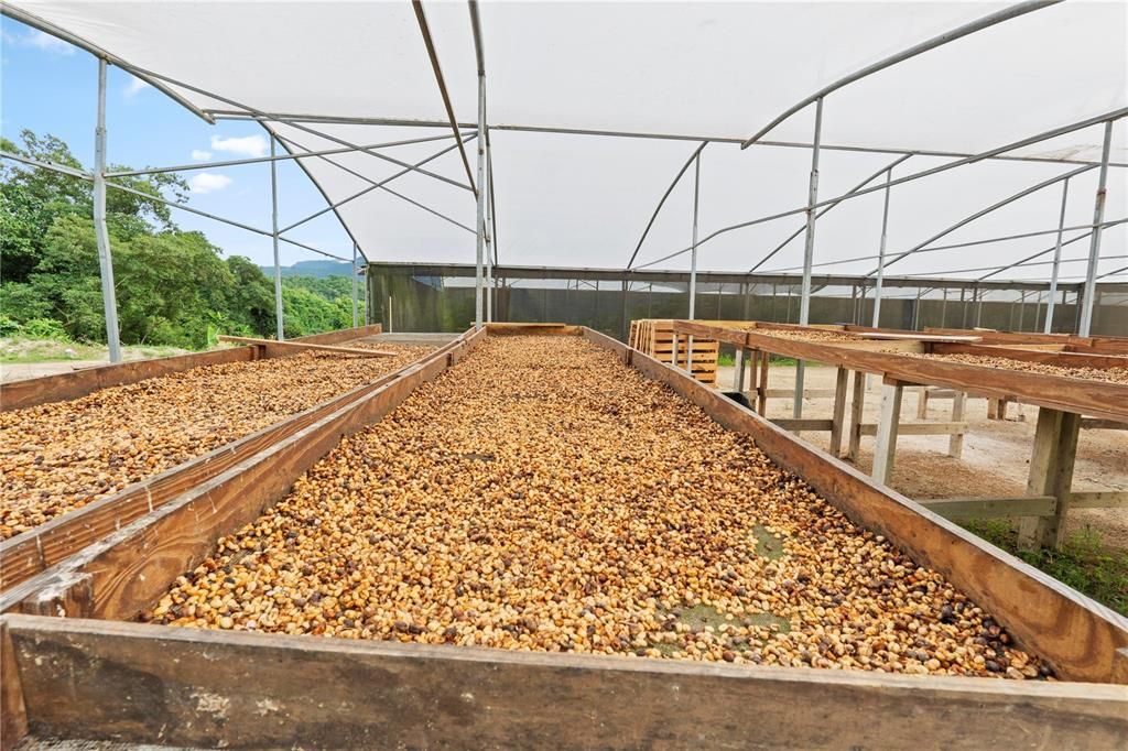 For Sale: $4,495,000 (4 beds, 2 baths, 4067 Square Feet)