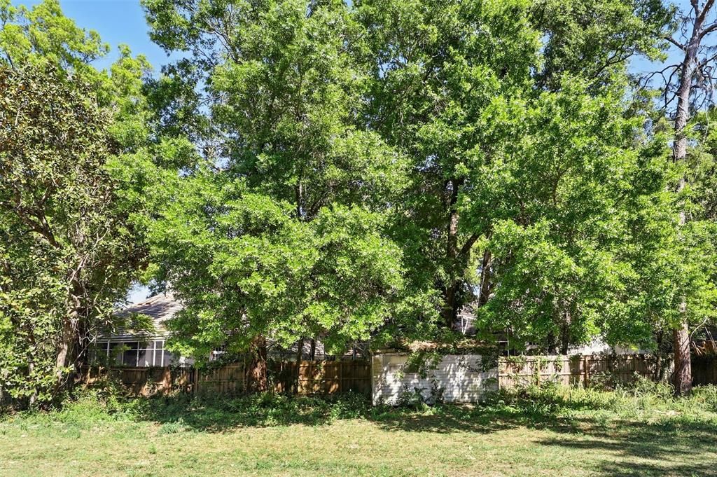 出租: $2,000 (3 贝兹, 2 浴室, 1420 平方英尺)