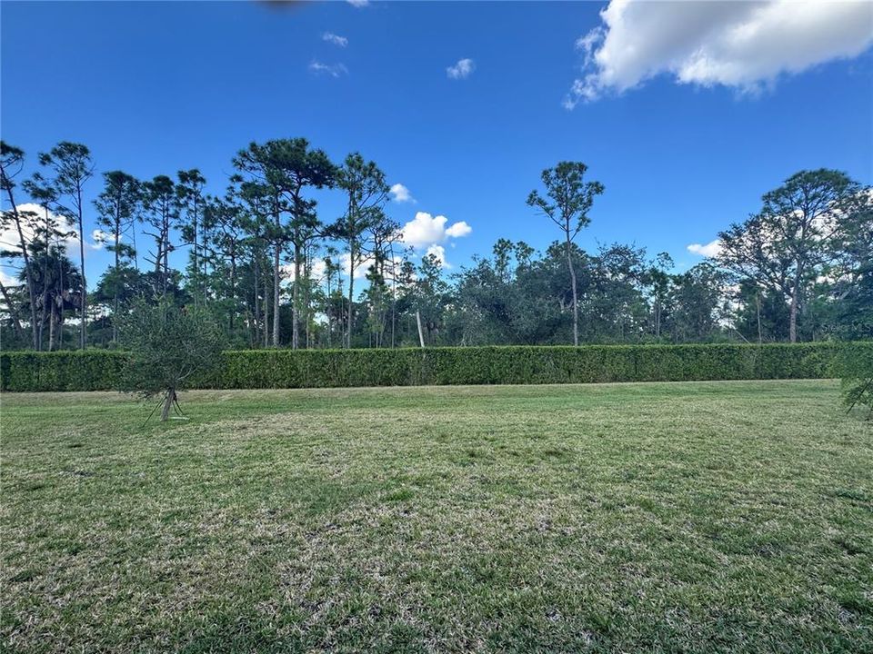 For Sale: $345,000 (4 beds, 3 baths, 2032 Square Feet)