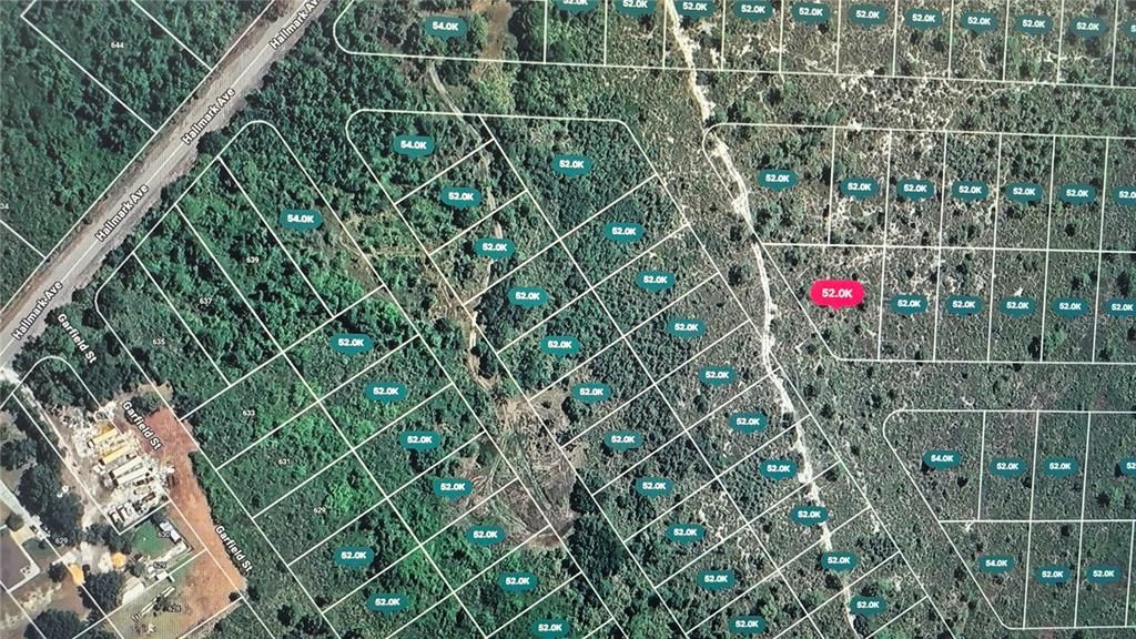 待售: $11,999 (0.41 acres)