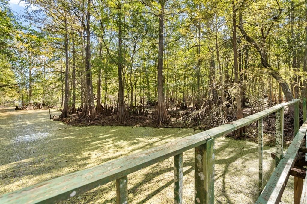 На продажу: $399,900 (5 спален, 3 ванн, 2278 Квадратных фут)