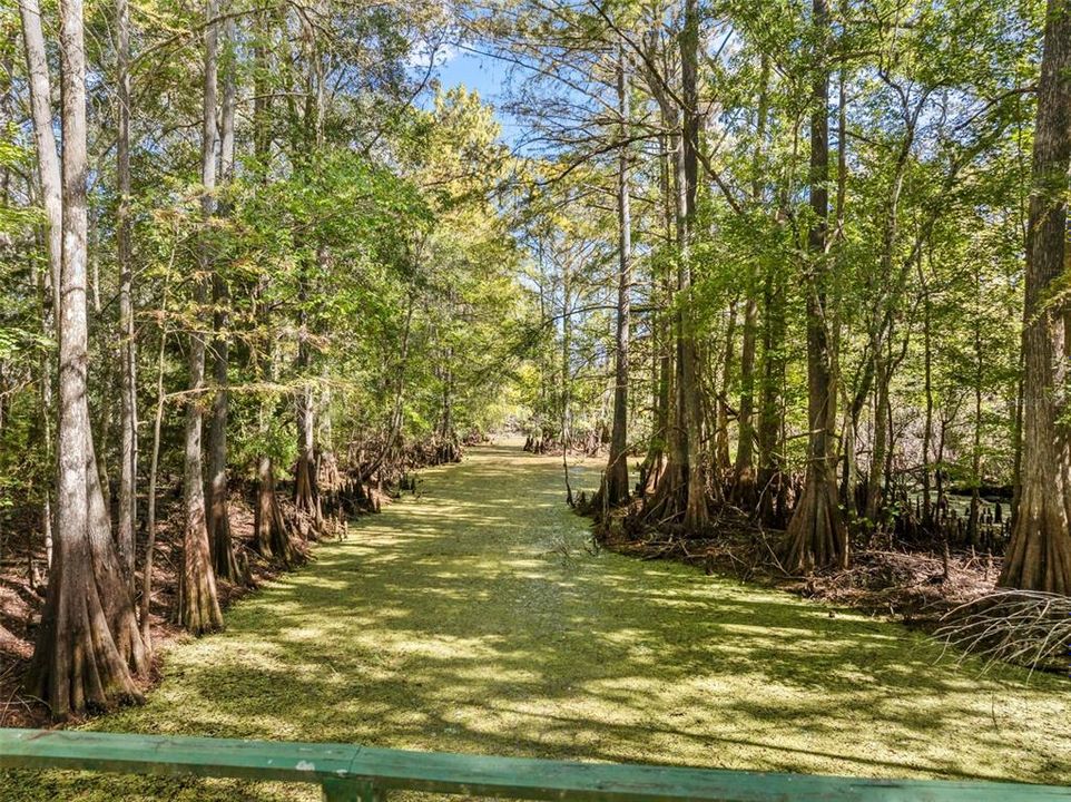 На продажу: $399,900 (5 спален, 3 ванн, 2278 Квадратных фут)