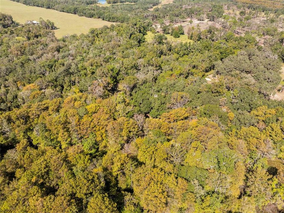 На продажу: $399,900 (5 спален, 3 ванн, 2278 Квадратных фут)