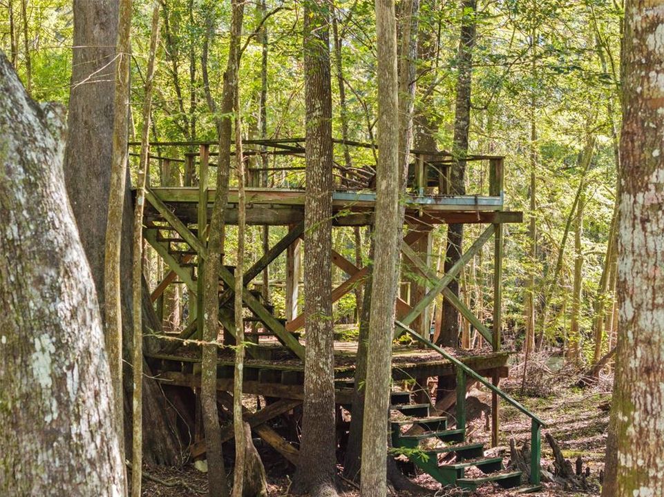 На продажу: $399,900 (5 спален, 3 ванн, 2278 Квадратных фут)