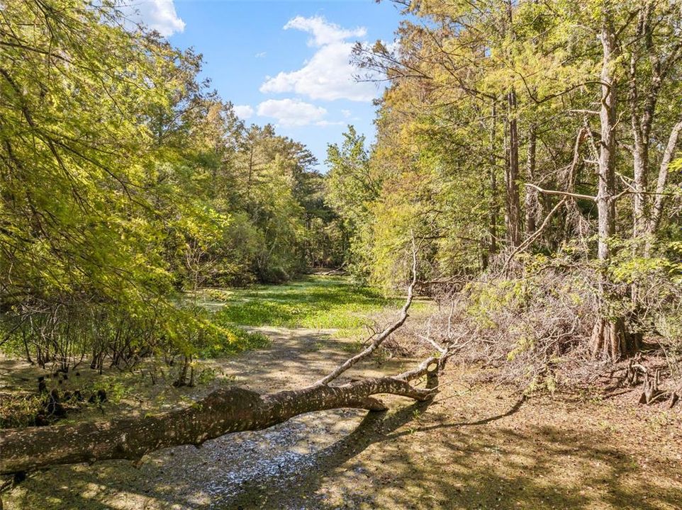 На продажу: $399,900 (5 спален, 3 ванн, 2278 Квадратных фут)