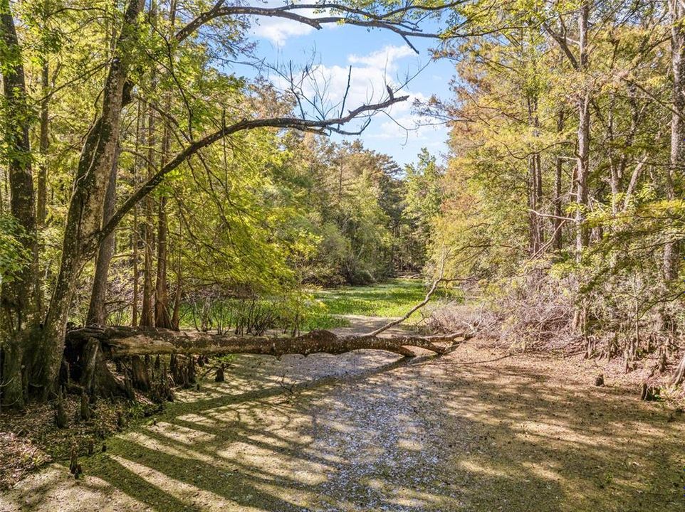 На продажу: $399,900 (5 спален, 3 ванн, 2278 Квадратных фут)