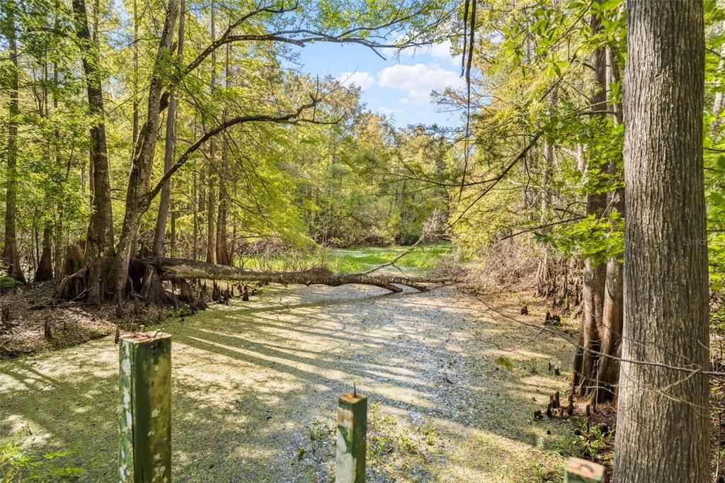 На продажу: $399,900 (5 спален, 3 ванн, 2278 Квадратных фут)