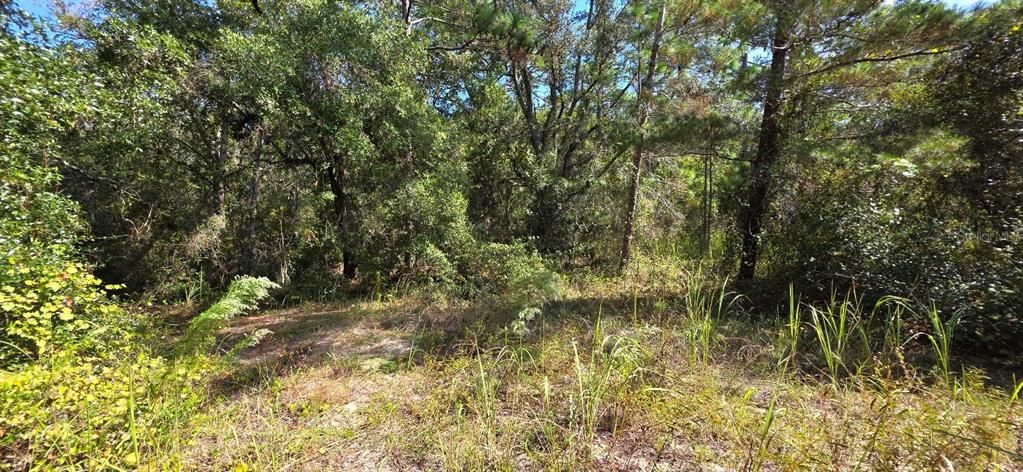 На продажу: $199,000 (0.84 acres)