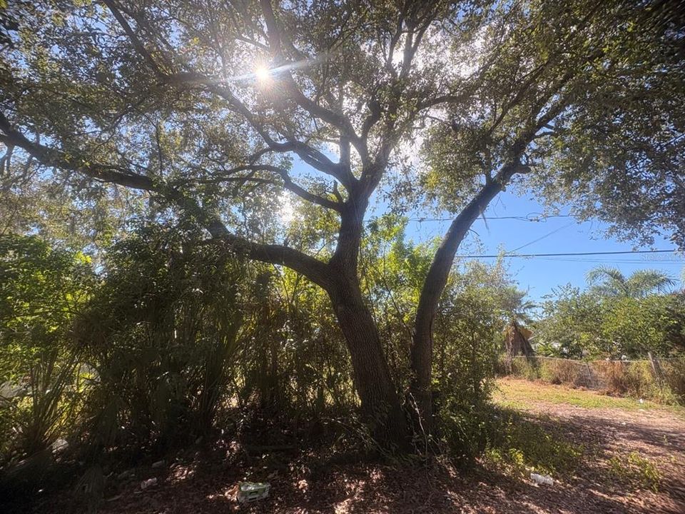 待售: $99,500 (0.16 acres)