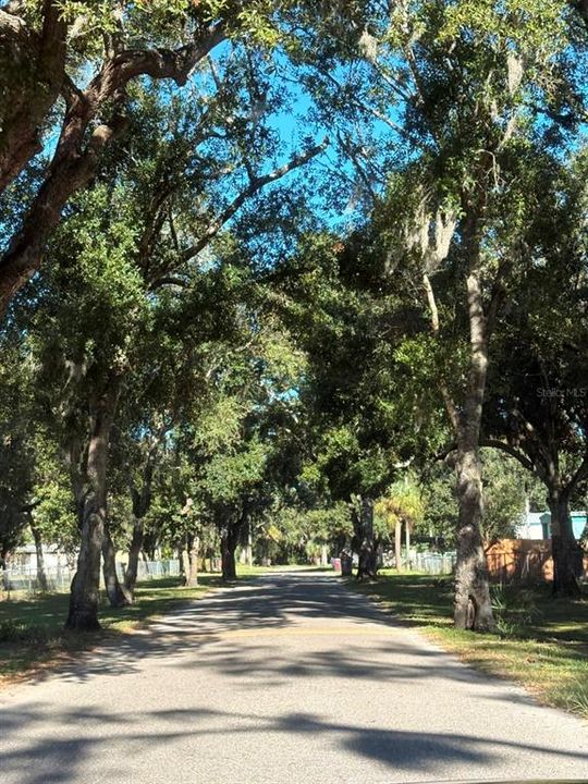 待售: $99,500 (0.16 acres)