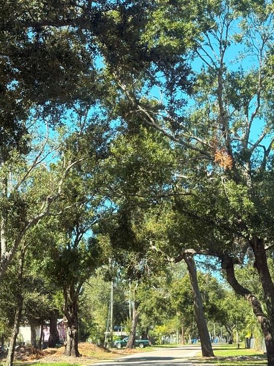 待售: $99,500 (0.16 acres)