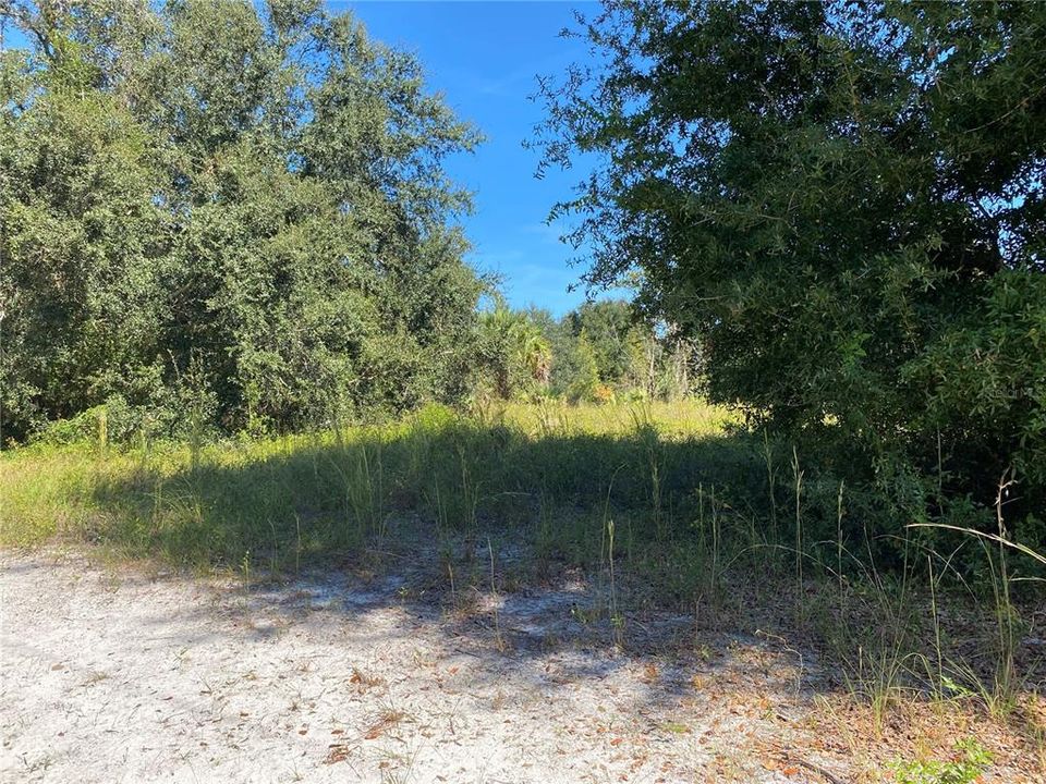 待售: $224,000 (7.35 acres)