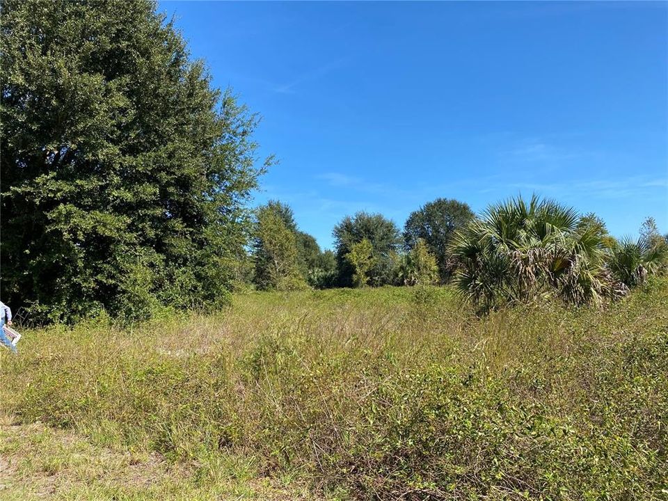 待售: $224,000 (7.35 acres)