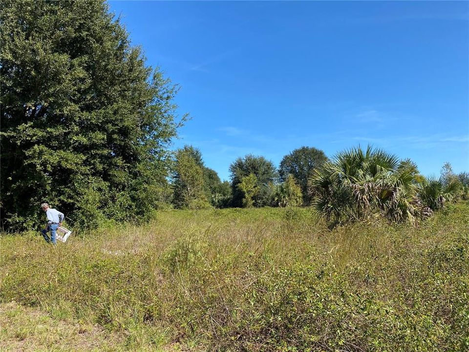 待售: $224,000 (7.35 acres)