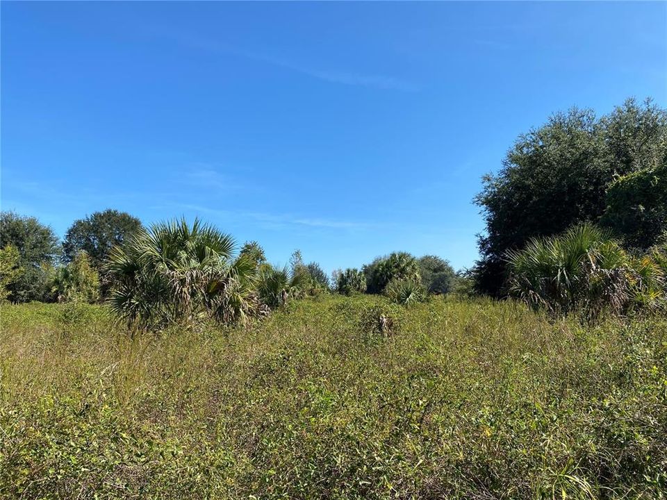 待售: $224,000 (7.35 acres)