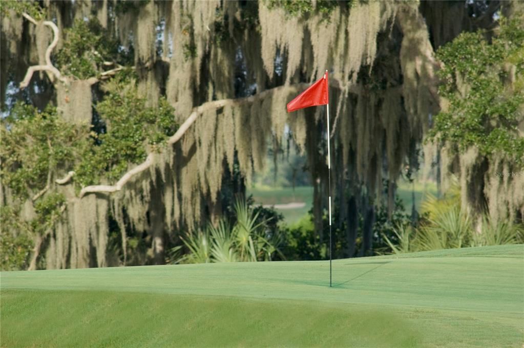 待售: $469,900 (3 贝兹, 2 浴室, 1679 平方英尺)