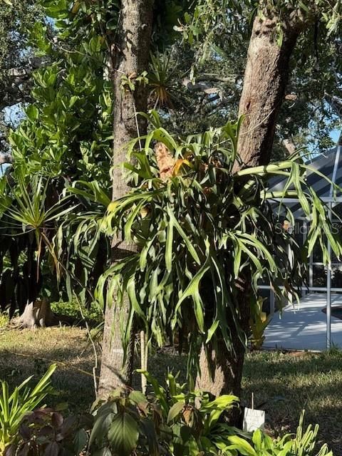 Activo con contrato: $407,000 (3 camas, 3 baños, 1586 Pies cuadrados)