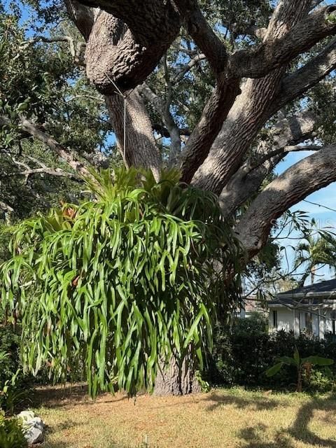 Activo con contrato: $407,000 (3 camas, 3 baños, 1586 Pies cuadrados)