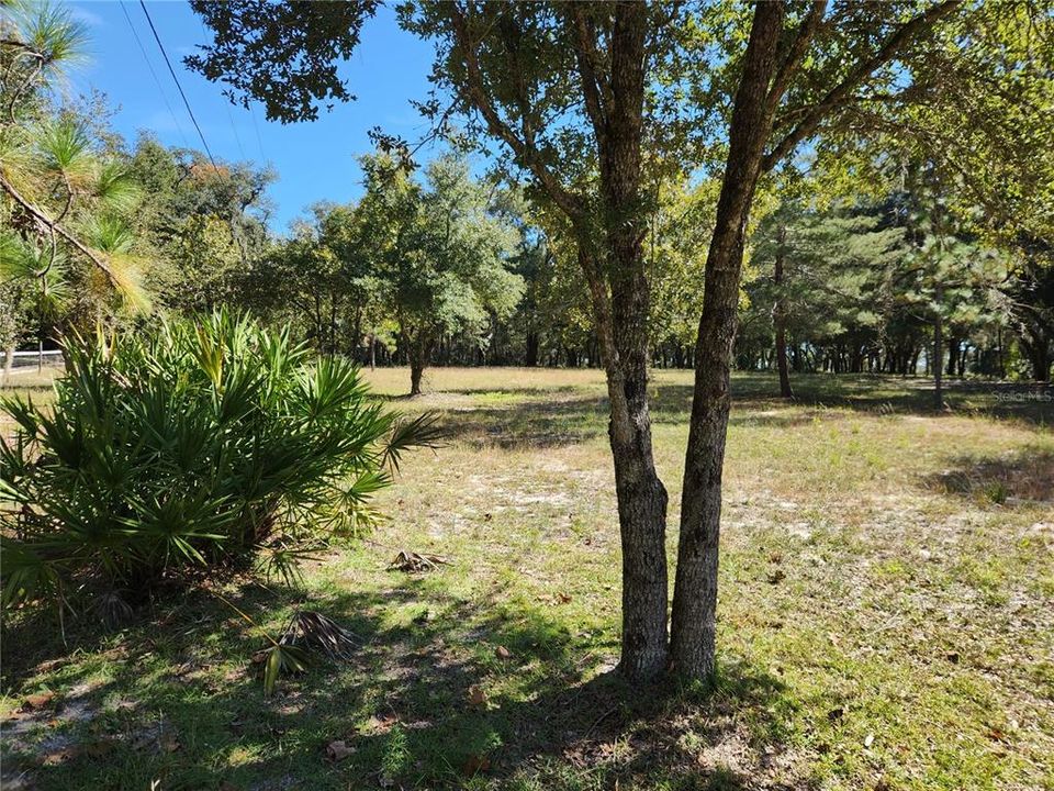 На продажу: $235,000 (2.51 acres)