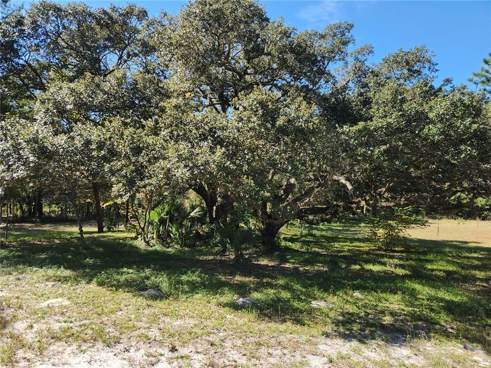 На продажу: $235,000 (2.51 acres)