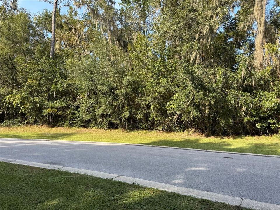 For Sale: $351,000 (1.74 acres)