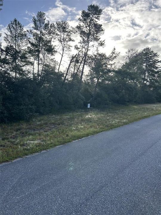 Под контрактом: $29,999 (0.50 acres)