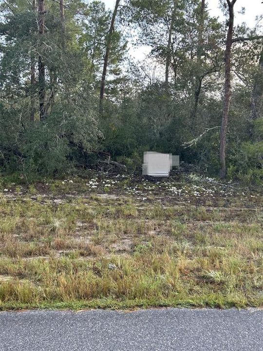 Под контрактом: $29,999 (0.50 acres)