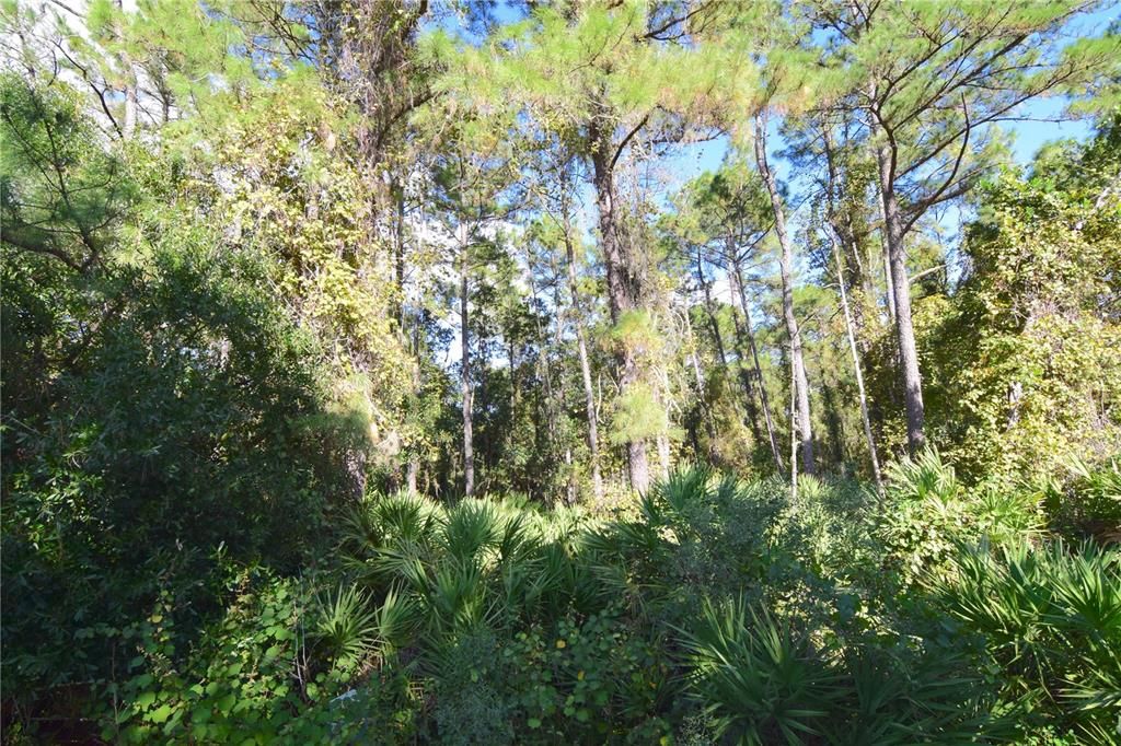 For Sale: $144,900 (2 beds, 2 baths, 1344 Square Feet)