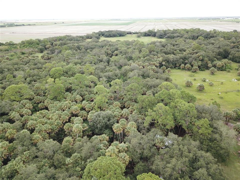 For Sale: $2,160,000 (40.00 acres)