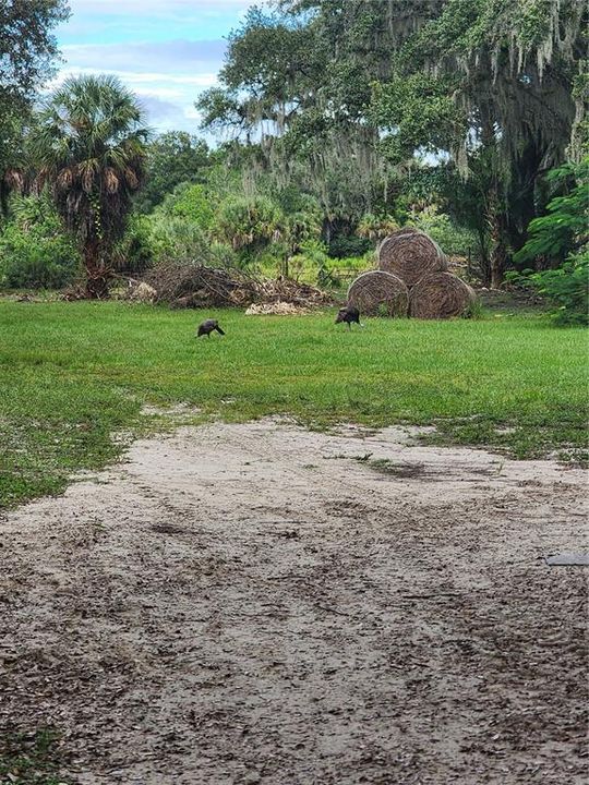 For Sale: $2,160,000 (40.00 acres)