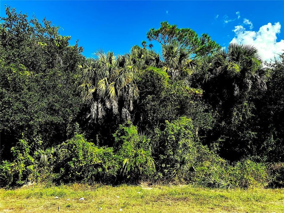 For Sale: $79,000 (0.23 acres)