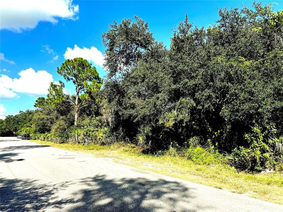 For Sale: $79,000 (0.23 acres)