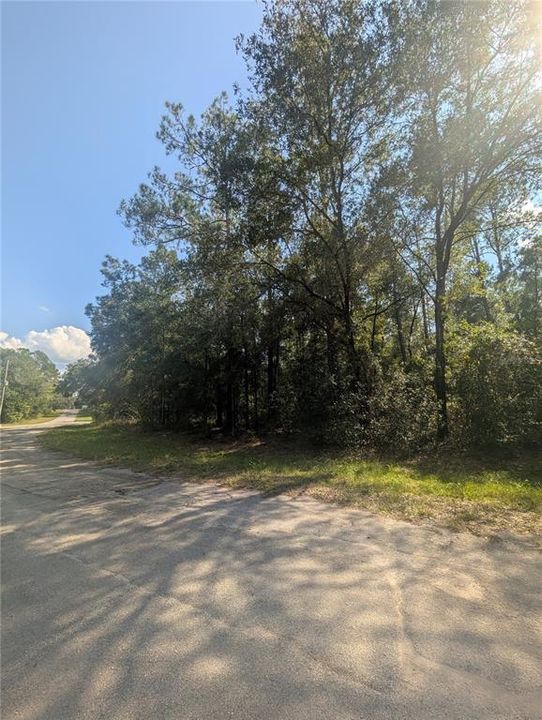 For Sale: $27,000 (0.32 acres)