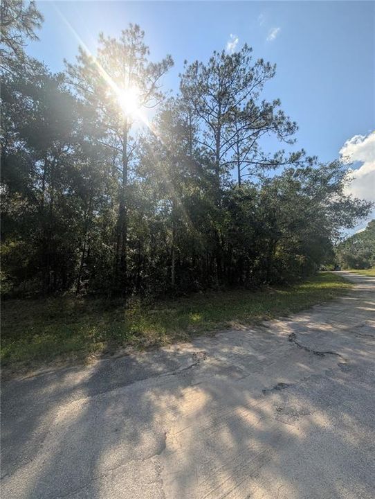 For Sale: $27,000 (0.32 acres)