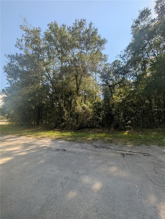 For Sale: $27,000 (0.32 acres)