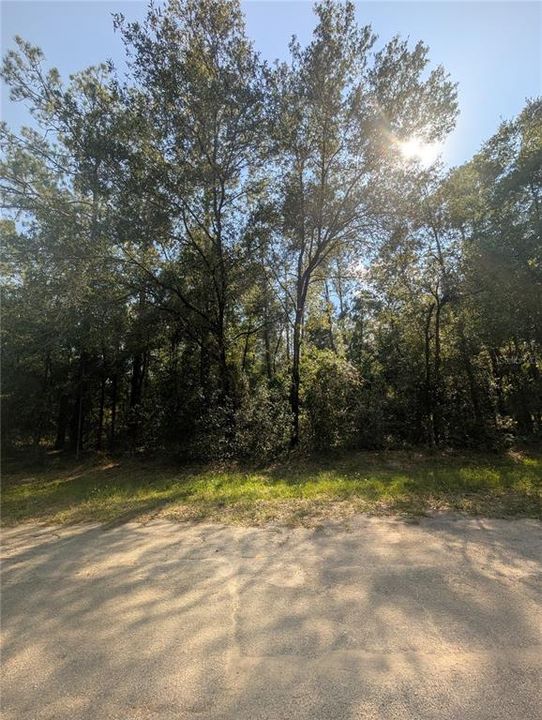 For Sale: $27,000 (0.32 acres)