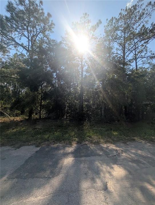 For Sale: $27,000 (0.32 acres)