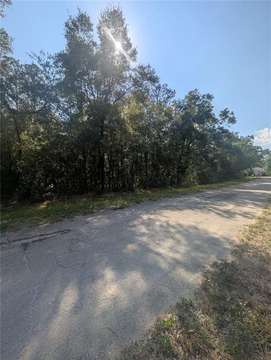 For Sale: $27,000 (0.32 acres)