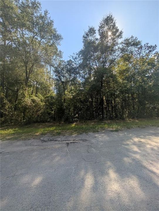 For Sale: $27,000 (0.32 acres)