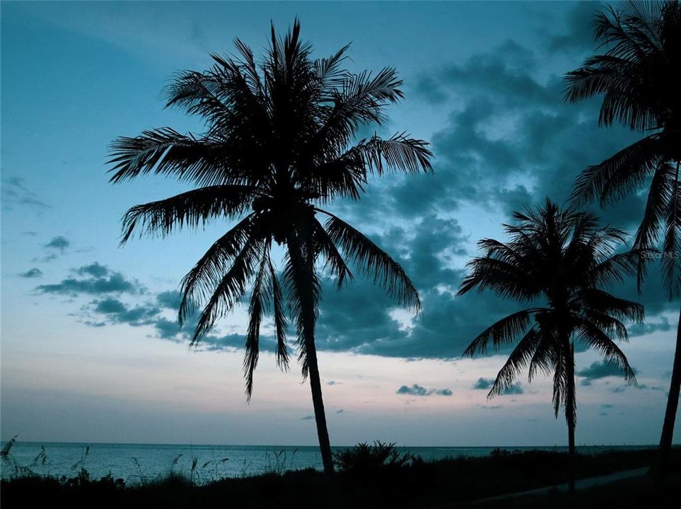 На продажу: $3,200,000 (0.39 acres)